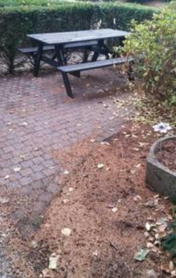 Appartement De Groote Peel Nederweert 외부 사진