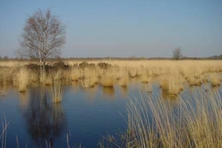 Appartement De Groote Peel Nederweert 외부 사진